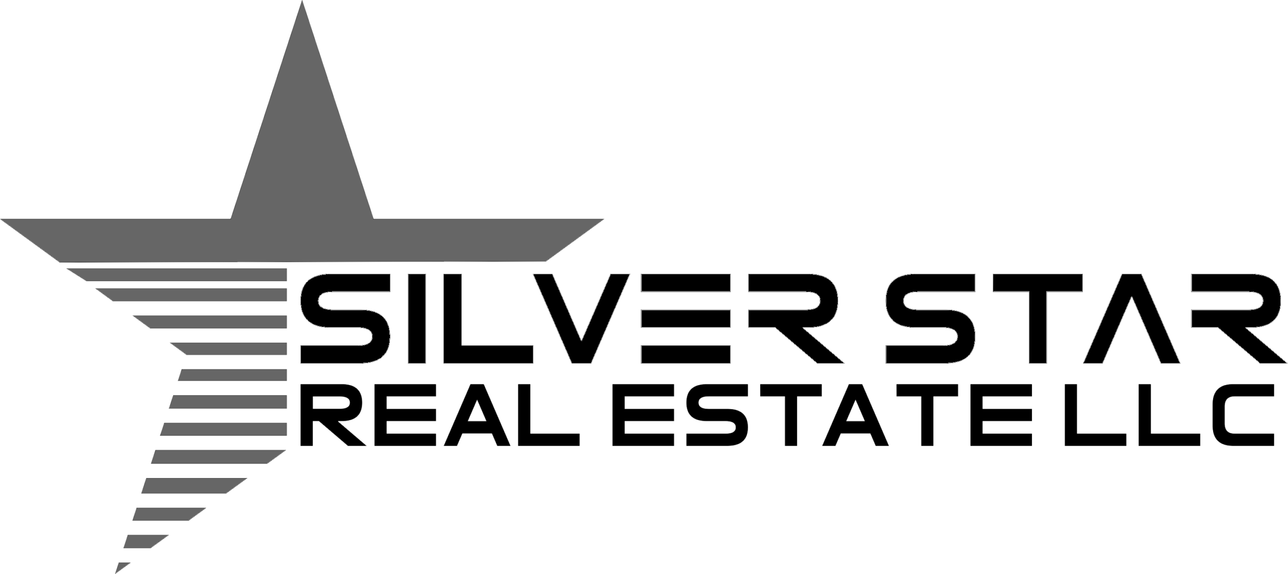 Silver Star Real Estate LLC